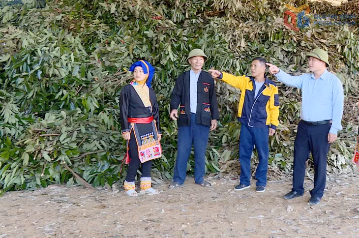 Bí thư Chi bộ, Trưởng thôn Nam Kim (xã Ba Chẽ) Triệu Quý Trình cùng đại diện Công ty TNHH MTV Quế Ba Chẽ trao đổi, chia sẻ về định hướng phát triển vùng nguyên liệu cây quế phục vụ sản xuất của nhà máy.