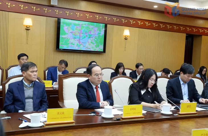 Đồng chí Quản Minh Cường, Bí thư Tỉnh ủy, Trưởng Đoàn ĐBQH tỉnh, phát biểu tại buổi làm việc.