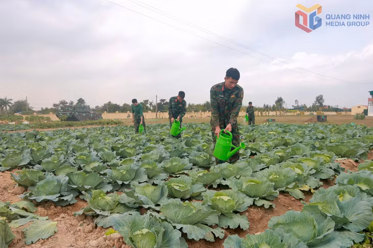 Công tác tăng gia sản xuất ở Trung đoàn 244 góp phần tạo nguồn thực phẩm tại chỗ cho bộ đội.