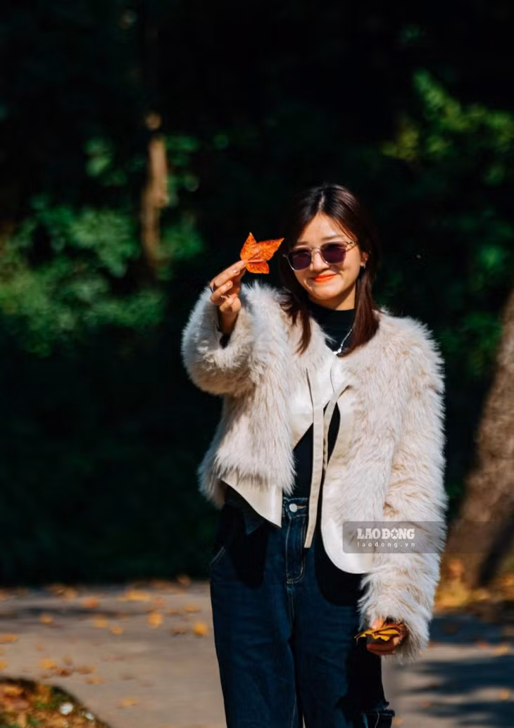 Thời điểm lá phong hương đẹp nhất thường kéo dài khoảng vài tuần, thu hút đông đảo du khách, phật tử và người yêu nhiếp ảnh tìm về tham quan, chiêm bái để lưu giữ những khoảnh khắc đặc biệt. Dưới ánh nắng, sắc đỏ, vàng của lá phong hương nổi bật trên nền mái chùa rêu phong, tạo nên bức tranh thiên nhiên hiếm có ở miền Bắc. Ảnh: Trọng Cung