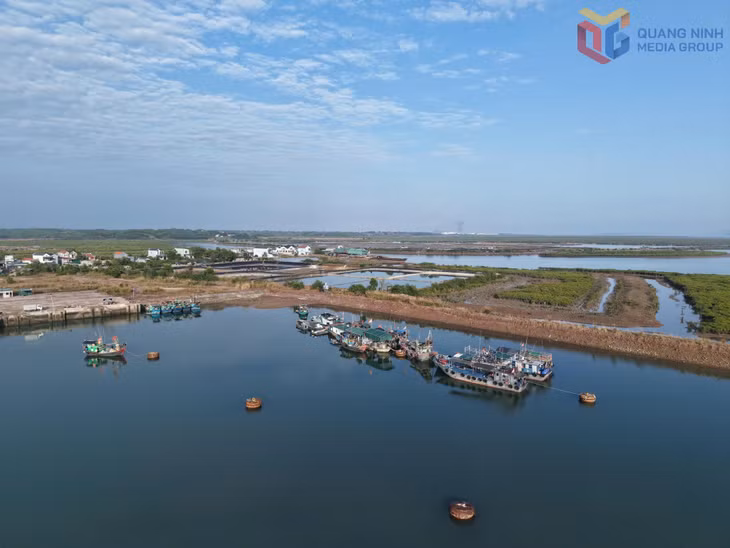 Đội tàu đánh bắt xa bờ của xã Đường Hoa.