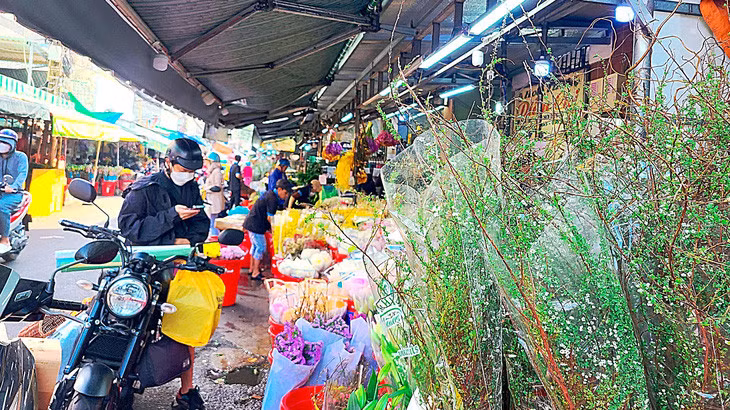 Tuyết mai đang là loại bán chạy nhất trong dịp Tết, hiện thường được trưng bày ở những vị trí nổi bật tại các cửa hàng để hút khách - Ảnh: NHẬT XUÂN