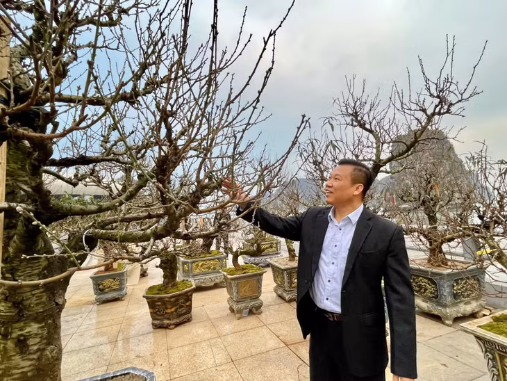 Nhiều người dân đã tới chọn cho mình những cành đào ưng ý để về trang trí trong dịp Tết.