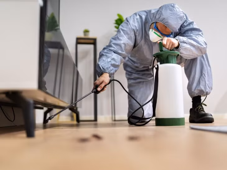 Dịch vụ kiểm soát côn trùng tại Hà Nội - Giải pháp tối ưu từ kiểm dịch ảnh 1