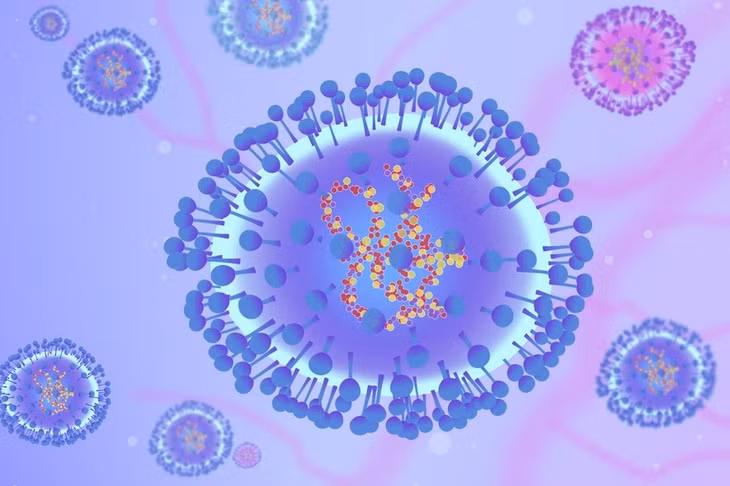 Hình ảnh minh họa trên máy tính về virus HMPV. Ảnh: VGC.