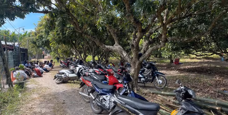 Tang vật thu giữ.