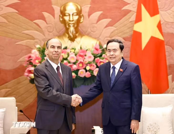 Chủ tịch Quốc hội Trần Thanh Mẫn và Đại sứ Cuba tại Việt Nam Rogelio Polanco Fuentes. (Ảnh: Doãn Tấn/TTXVN)