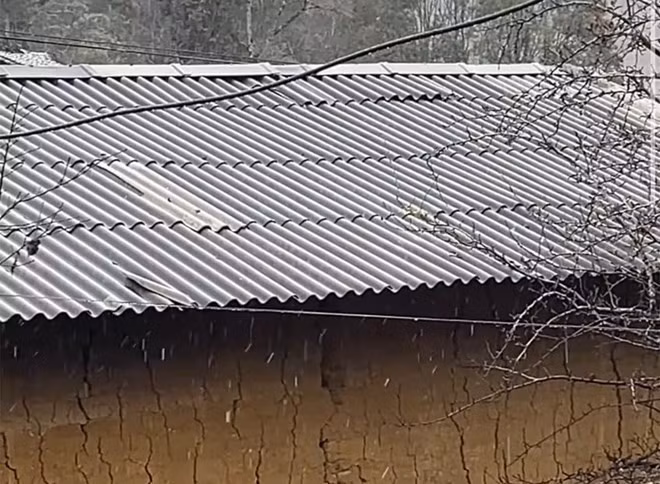 Nhiệt độ giảm sâu, Hà Giang xuất hiện hiện tượng tuyết rơi lất phất như hạt mưa nhỏ. Ảnh: Quang Huy.