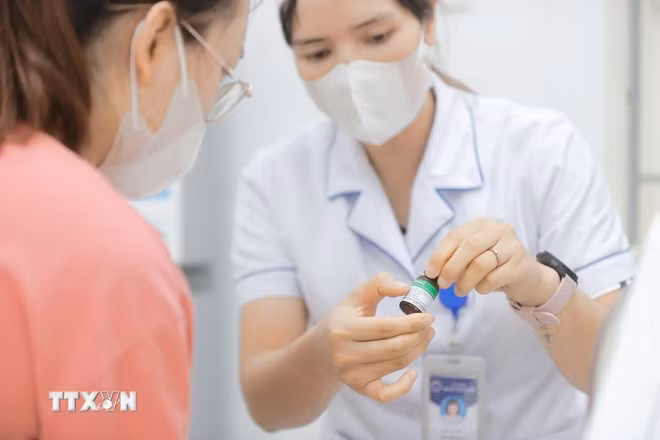 (Ảnh: Quang Quyết/TTXVN)