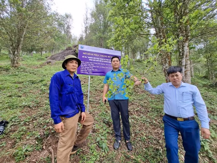 Lãnh đạo Sở KH&amp;CN kiểm tra mô hình phục tráng rừng hồi tại hộ anh Hoàng Đức Hải (thôn Đồng Cậm, xã Hoành Mô, huyện Bình Liêu), tháng 4/2024.