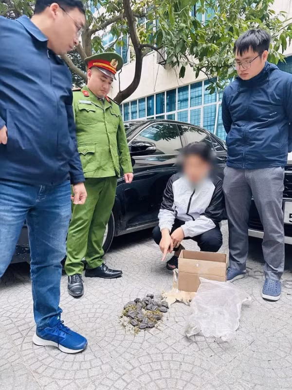 Tổ công tác Đội Cảnh sát Kinh tế, quận Tây Hồ kiểm tra, phát hiện H.Q.N đang vận chuyển 30 cá thể rùa quý hiếm.