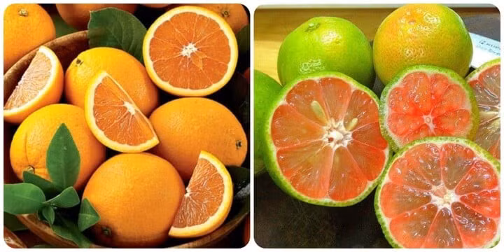 Trái cây họ cam quýt rất giàu Vitamin C, tốt cho việc thanh lọc cơ thể.