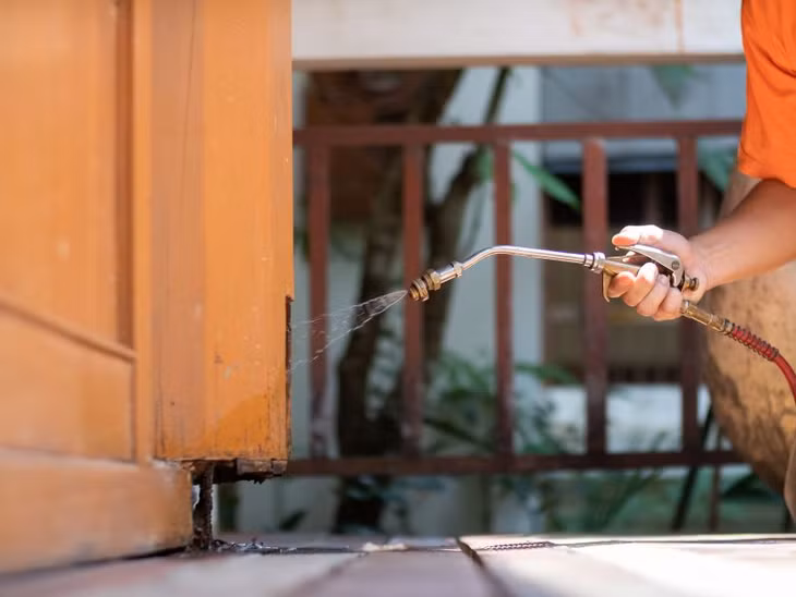 Dịch vụ kiểm soát côn trùng tại Hà Nội - Giải pháp tối ưu từ kiểm dịch ảnh 2