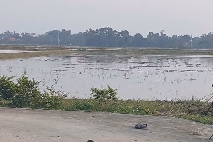 Khu vực ruộng nơi Bí thư thôn đo đạc để chuyển đổi thì bị chém. Ảnh: Phúc Thăng.