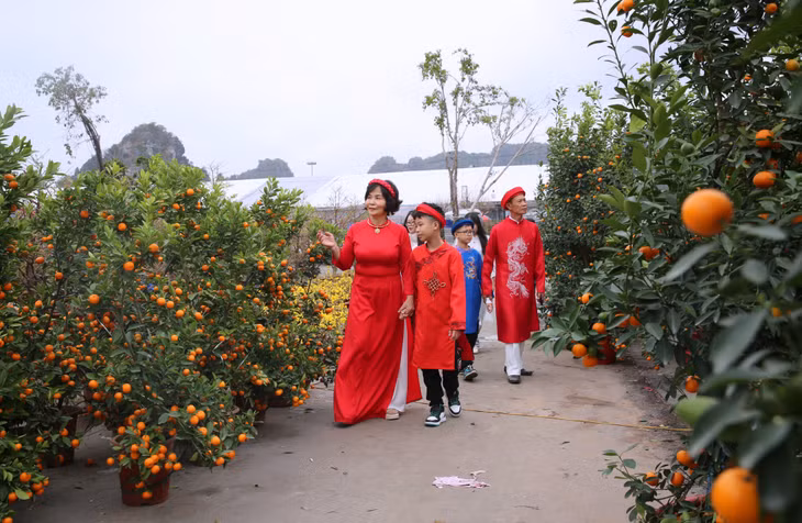 ...vừa thưởng hoa, ngắm cảnh, hòa mình với sắc Xuân...