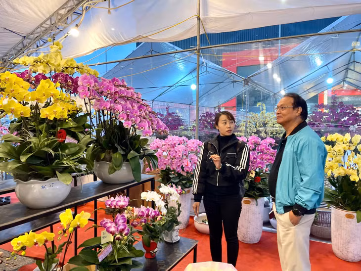 Hoa Tết không thể thiếu trong mỗi nhà khi đón Tết cổ truyền của dân tộc.