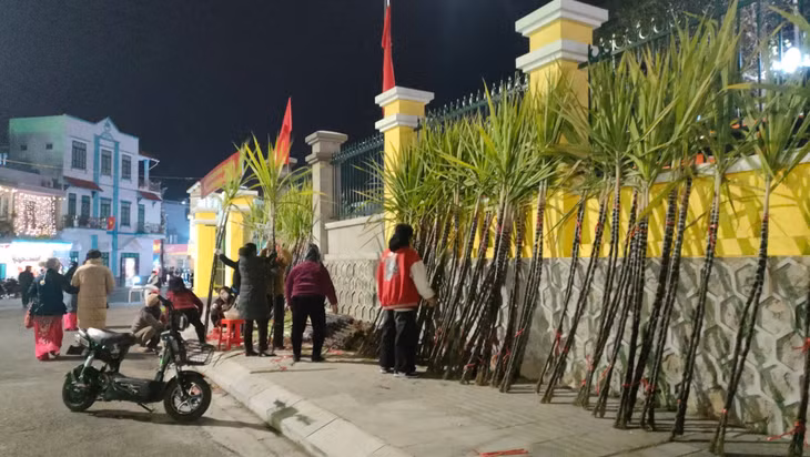 Các gian hàng bán mía lộc chuẩn bị, sắp xếp hàng hóa, sẵn sàng phục vụ nhu cầu mua lộc của người dân trong khoảnh khắc giao thừa.