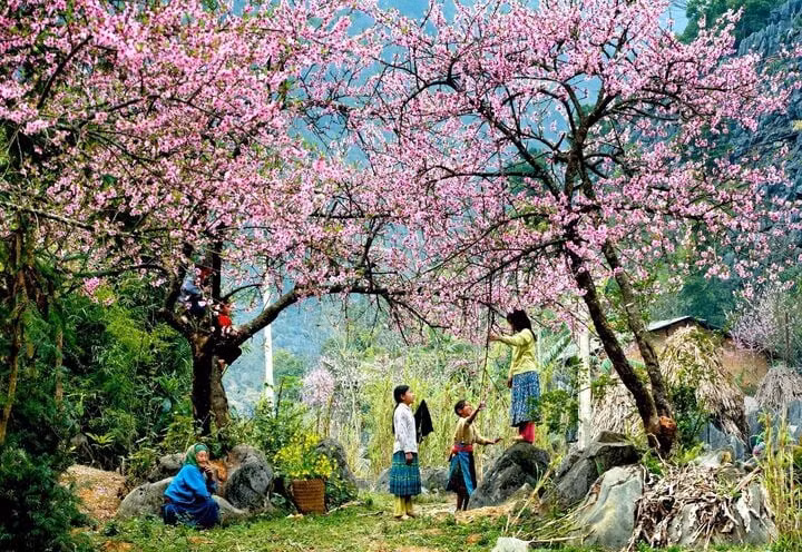 (Ảnh: Hoài Minh)