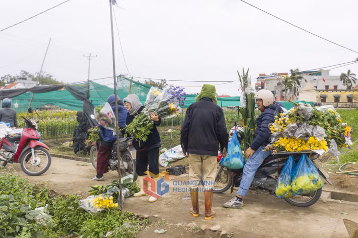 	Các điểm kinh doanh hoa lẻ cũng đến tận xã Lê Lợi mua hoa về kinh doanh