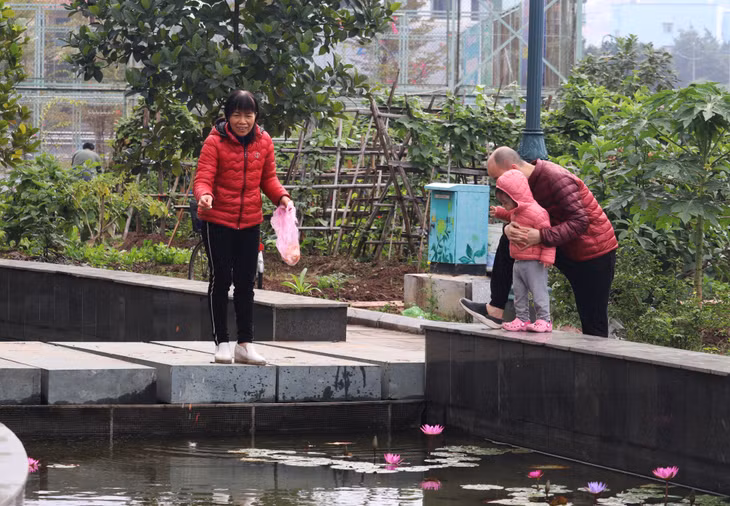 Sau lễ cúng tiễn ông Công, ông Táo về trời, nhiều gia đình đã cùng nhau đi thả cá chép tại các hồ.