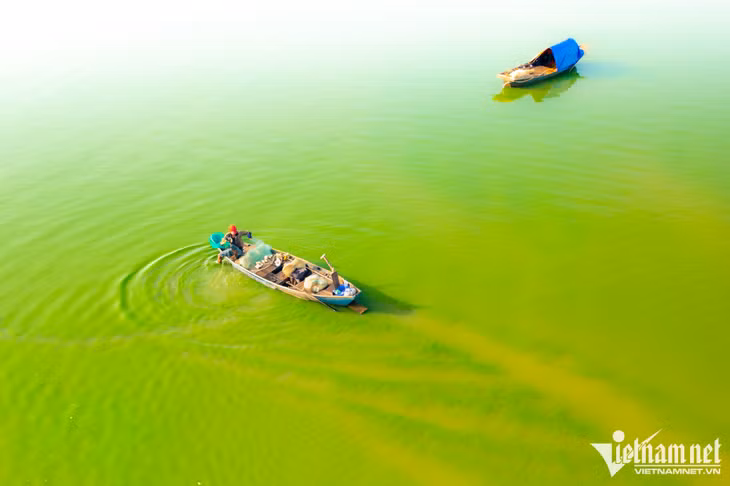 Hồ Trị An vốn là hồ nhân tạo nằm trên sông Đồng Nai, có nhiệm vụ trữ nước để cung cấp cho nhà máy thủy điện Trị An (Đồng Nai). Nơi đây có rất nhiều loài cá sinh sống, nhờ nước ngọt có rất nhiều tảo phát triển, làm thức ăn cho cá. Ghe của ngư dân xuất bến từ chiều hôm trước đến sáng hôm sau lại tấp nập trở về.