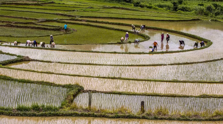 Cung bậc ngày mùa.