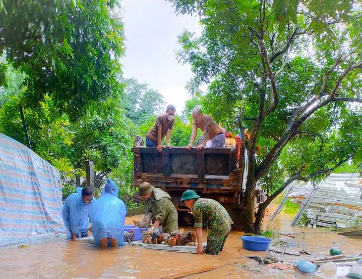 Lực lượng chức năng huyện Ba Chẽ hỗ trợ người dân di chuyển tài sản, vật nuôi do ảnh hưởng của cơn bão số 3. Ảnh: Bình Minh