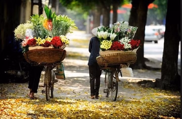 Những con đường đầy lá vàng, những gánh hoa tạo nên đặc trưng thanh bình của thu Hà Nội. (Ảnh: Internet)