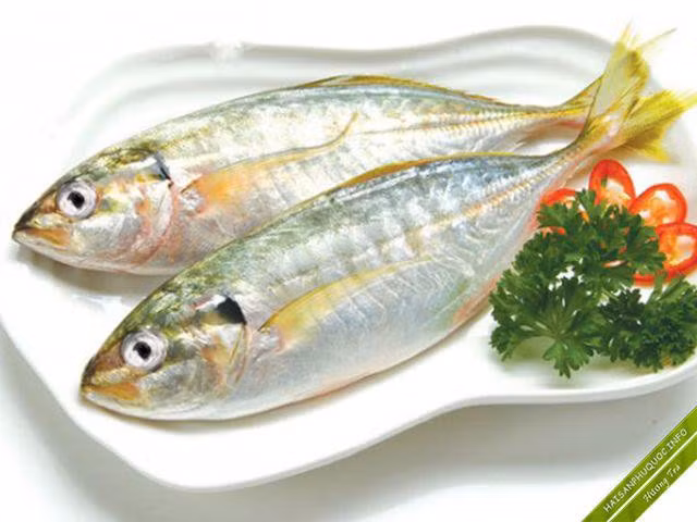 Cá ngân được coi là thực phẩm trường thọ. (Ảnh minh họa)