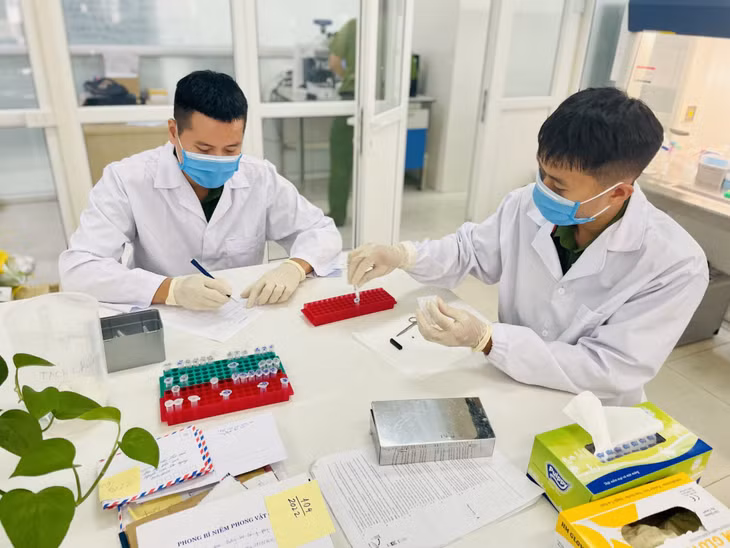Các giám định viên đang thao tác chuyển mẫu để giám định.