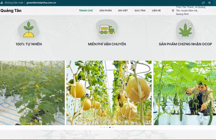 Nông sản OCOP huyện Đầm Hà được giới thiệu, bày bán trên website. (Ảnh chụp màn hình)