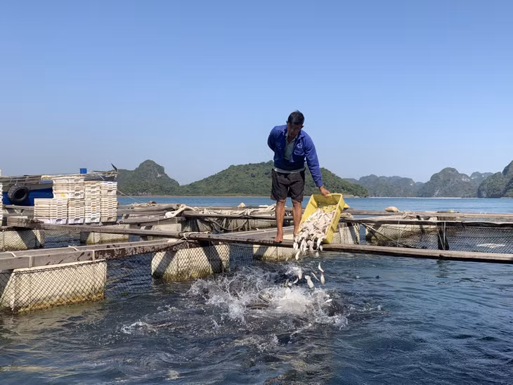 Nhiều hộ dân mong muốn sớm hoàn thiện thủ tục thuê mặt nước NTTS để được cấp mã số vùng nuôi.