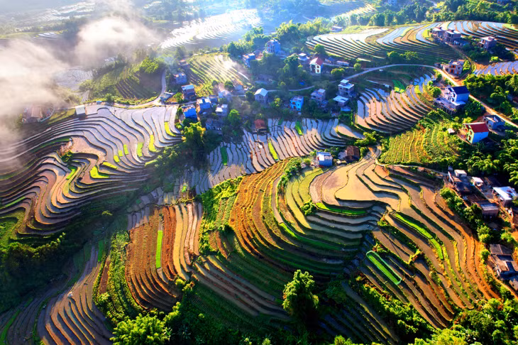 Thửa ruộng bậc thang nằm uốn lượn trên các sườn đồi ở Bình Liêu. Ảnh: Vũ Thành (CTV)