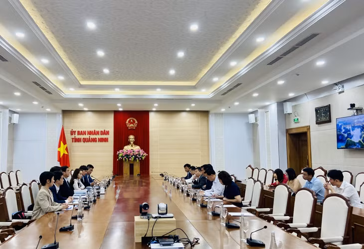 Quang cảnh buổi làm việc.