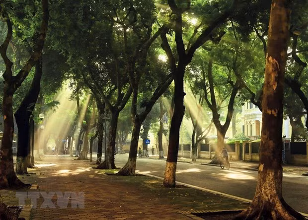 Hau het cac khu vuc tren ca nuoc nang nong, mua dong ve chieu toi hinh anh 1