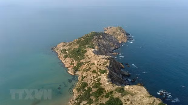 Binh Dinh cham dut hoat dong hai du an lien quan Tap doan FLC hinh anh 1