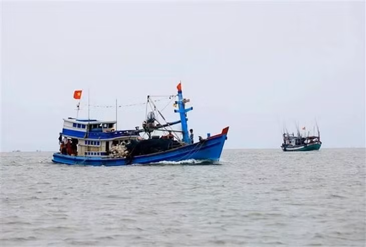 (Ảnh minh họa. Hồng Đạt/TTXVN)