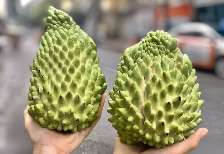 Na sầu riêng từng có giá lên tới nửa triệu đồng/kg, nay thành hàng bình dân. Ảnh: NVCC