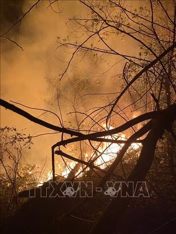 Ngọn lửa đang bùng lên dữ dội do thời tiết hanh khô. Ảnh: TTXVN phát