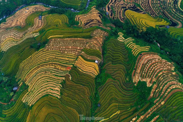 ... trở thành biểu tượng văn hóa của vùng núi phía Bắc, thu hút sự chú ý của du khách.