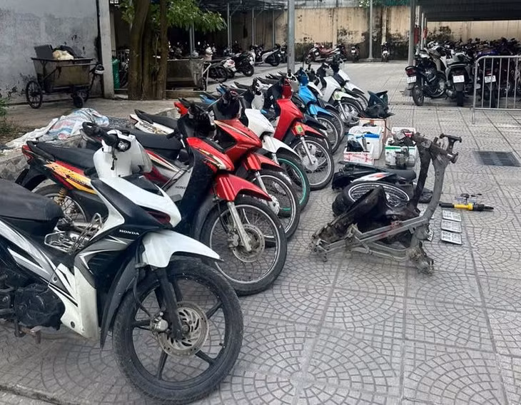 Tang vật vụ án. Ảnh: H.Q.