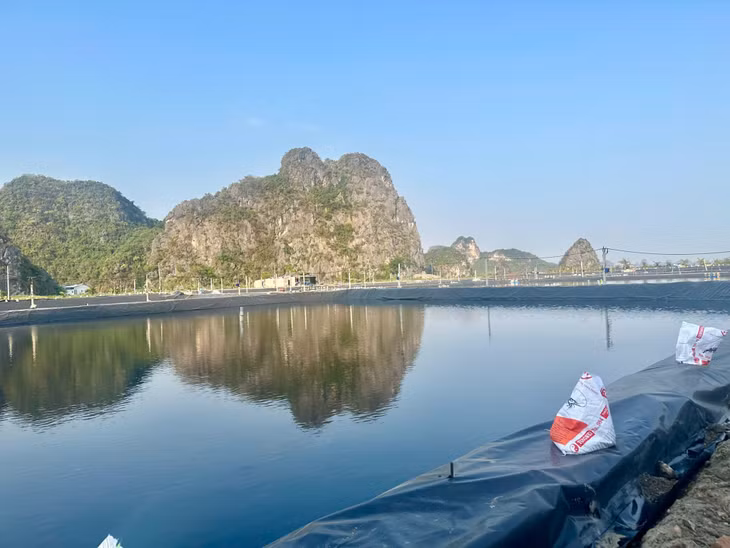 Công ty CP Nhật Long (TP Hạ Long) đã khắc phục được 10 ao nuôi tôm.