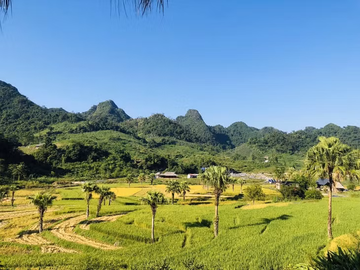 Đây là bản người H'Mông hiếm hoi ở huyện Đồng Hỷ và cả tỉnh Thái Nguyên. Thời điểm đẹp nhất để ngắm ruộng bậc thang Bản Tèn là từ giữa tháng 9 đến giữa tháng 10, khi lúa chín vàng. Ngoài ra, vào dịp cuối năm và đầu năm, du khách còn có thể chiêm ngưỡng hoa tam giác mạch đã được trồng thí điểm những năm gần đây.
