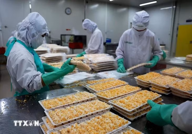 Xuất khẩu thuỷ sản. (Ảnh: Hồng Đạt/TTXVN)