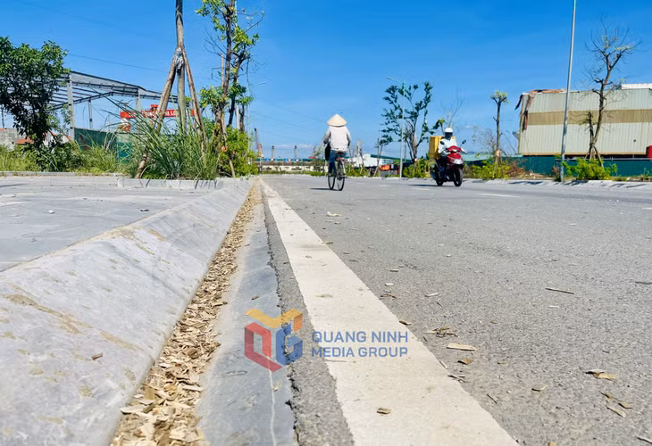 Ngày 23/10/2024, phóng viên ghi nhận hình ảnh dăm gỗ vương vãi dọc tuyến đường nối giữa KCN Cái Lân với KCN Việt Hưng lên cao tốc Hạ Long - Vân Đồn.