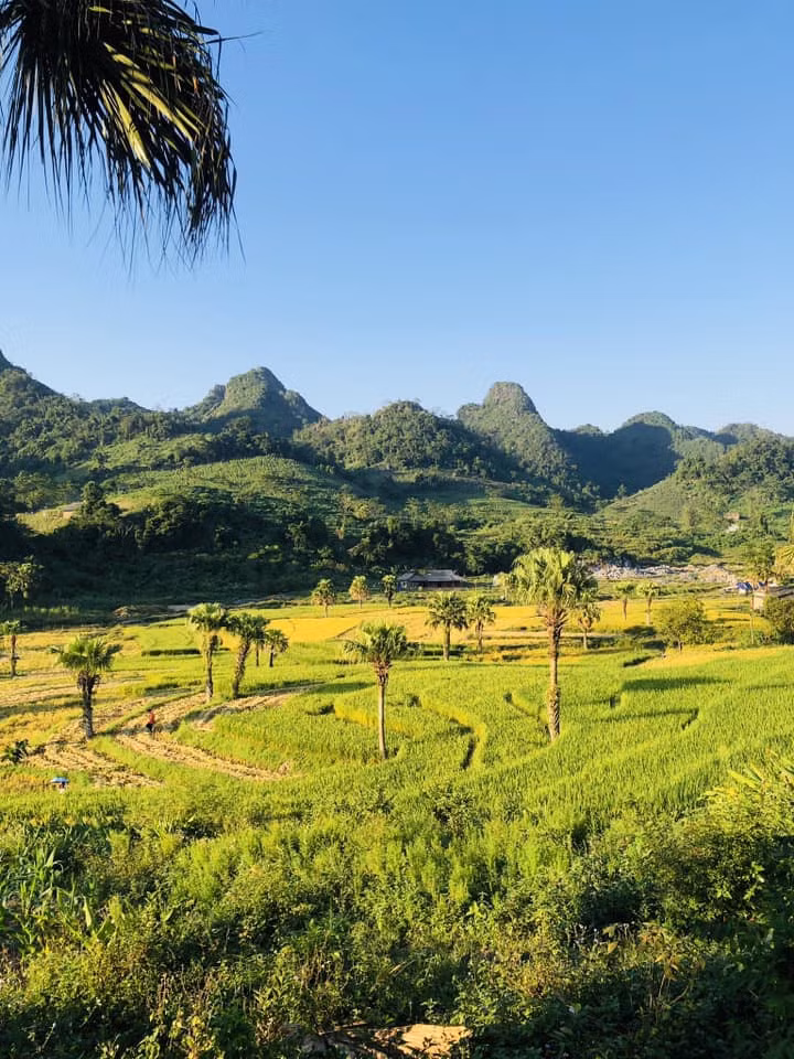 Hiện tại, Bản Tèn chưa phát triển nhiều dịch vụ du lịch. Chị Huyền Nguyễn lưu ý: "Ở đây chưa có dịch vụ lưu trú và ăn uống, chỉ có hàng tạp hóa. Vậy nên, trước khi đến đây mọi người nên chuẩn bị trước đồ ăn, bên cạnh đó cũng nên đổ đầy xăng".