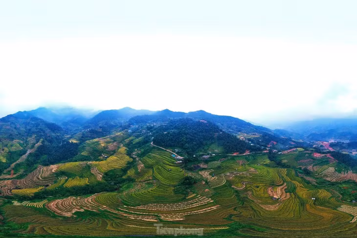 Trao đổi với Tiền Phong, chị Nguyễn Thị Thy (ở Hạ Long, Quảng Ninh) cho biết, chị thấy phong cảnh thực sự đẹp, đẹp hơn rất nhiều trong phim ảnh.