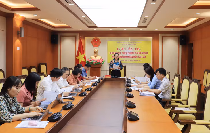 Đồng chí Vũ Thị Diệu Linh, Trưởng Ban Văn hóa - Xã hội HĐND tỉnh phát biểu tại cuộc họp.