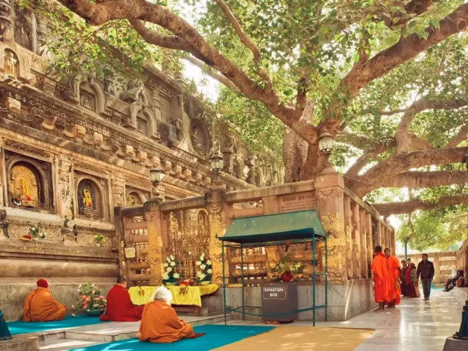 Khung cảnh ở thánh địa Bodh Gaya (Bồ Đề Đạo Tràng). Ảnh: Times of India