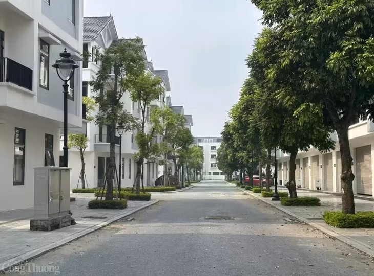 Các chuyên gia cho rằng, việc đánh thuế bất động sản thứ hai cần phù hợp với điều kiện của Việt Nam, ngăn chặn việc đầu cơ chứ không cản trở cơ hội mua nhà của người dân. Ảnh: Đ.N